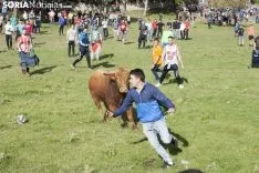 Lavalenguas 2018 / María Ferrer