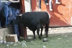 Lavalenguas 2018 / María Ferrer