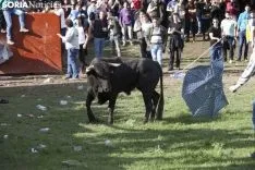 Lavalenguas 2018 / María Ferrer
