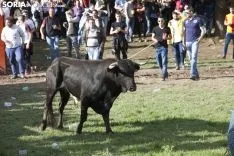 Lavalenguas 2018 / María Ferrer
