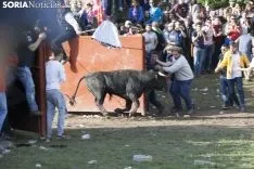 Lavalenguas 2018 / María Ferrer