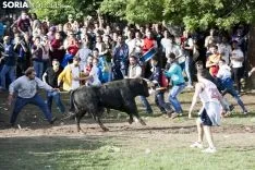 Lavalenguas 2018 / María Ferrer