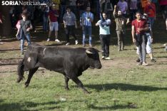 Lavalenguas 2018 / María Ferrer