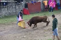 Lavalenguas 2018 / María Ferrer