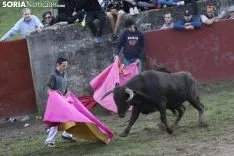 Lavalenguas 2018 / María Ferrer