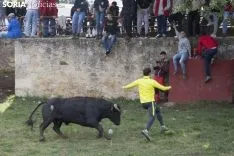 Lavalenguas 2018 / María Ferrer