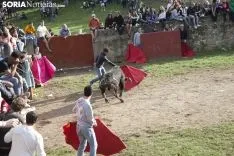 Lavalenguas 2018 / María Ferrer