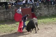 Lavalenguas 2018 / María Ferrer