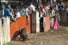 Lavalenguas 2018 / María Ferrer