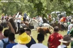 La Saca / María Ferrer