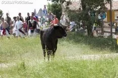 La Saca / María Ferrer