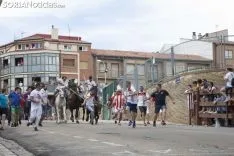 La Saca / María Ferrer