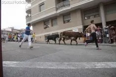 La Saca / María Ferrer