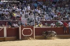 Viernes de Toros / María Ferrer