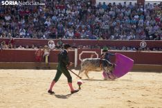 Viernes de Toros / María Ferrer