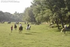 Entrada de los novillos de La Saca en los corrales de Cañada Honda. /SN