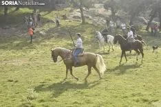 Entrada de los novillos de La Saca en los corrales de Cañada Honda. /SN