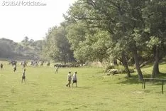 Entrada de los novillos de La Saca en los corrales de Cañada Honda. /SN
