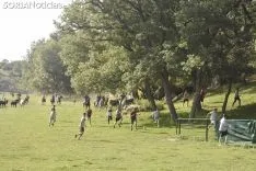 Entrada de los novillos de La Saca en los corrales de Cañada Honda. /SN