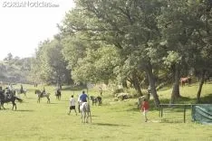 Entrada de los novillos de La Saca en los corrales de Cañada Honda. /SN