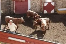 Foto 4 - Encierro participativo y sin incidentes