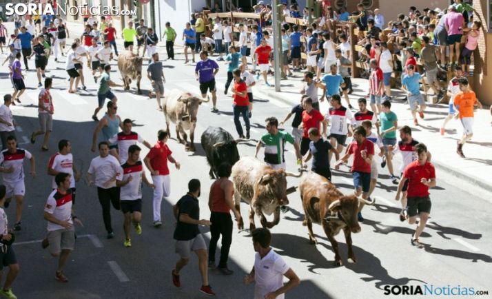 Una imagen de un encierro en las inmediaciones del coso de San Benito. / María Ferrer