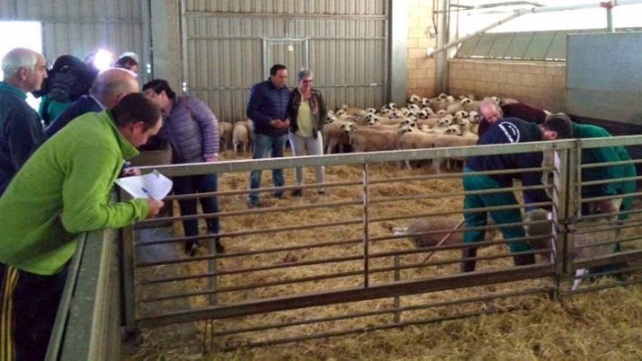 Imagen del reparto este miércoles en San Esteban. /Dip