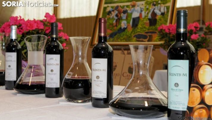 Vinos producidos y elaborados en Castillejo de Robledo. /SN