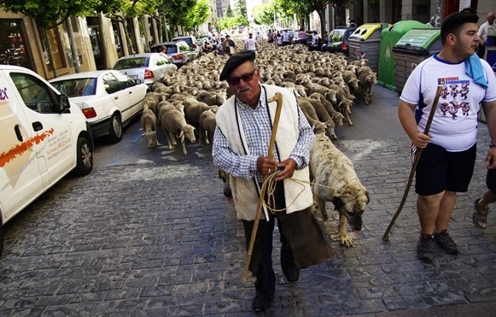 Ponerse en la piel de un pastor trashumante