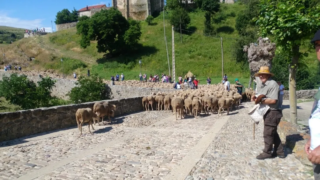 Imagen de la última jornada de 'Somos Trashumantes'. /M-audiovisuales