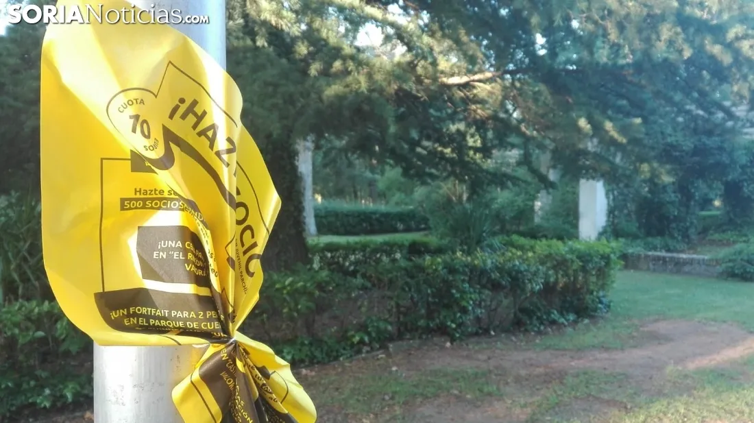 Foto 7 - Almaz&aacute;n se 'viste' de amarillo