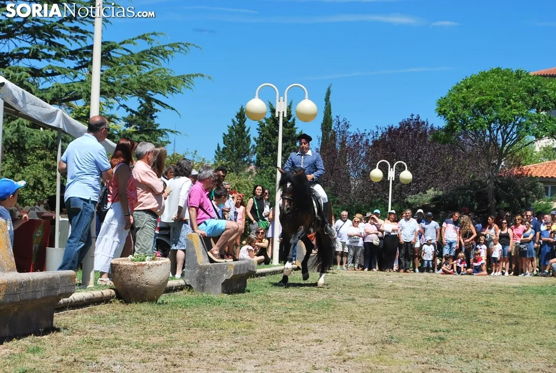 Una imagen de la feria este domingo. /SN