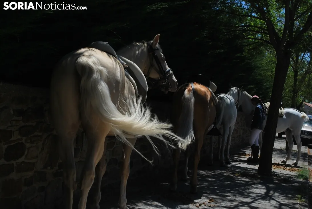 Una imagen de la feria este domingo. /SN