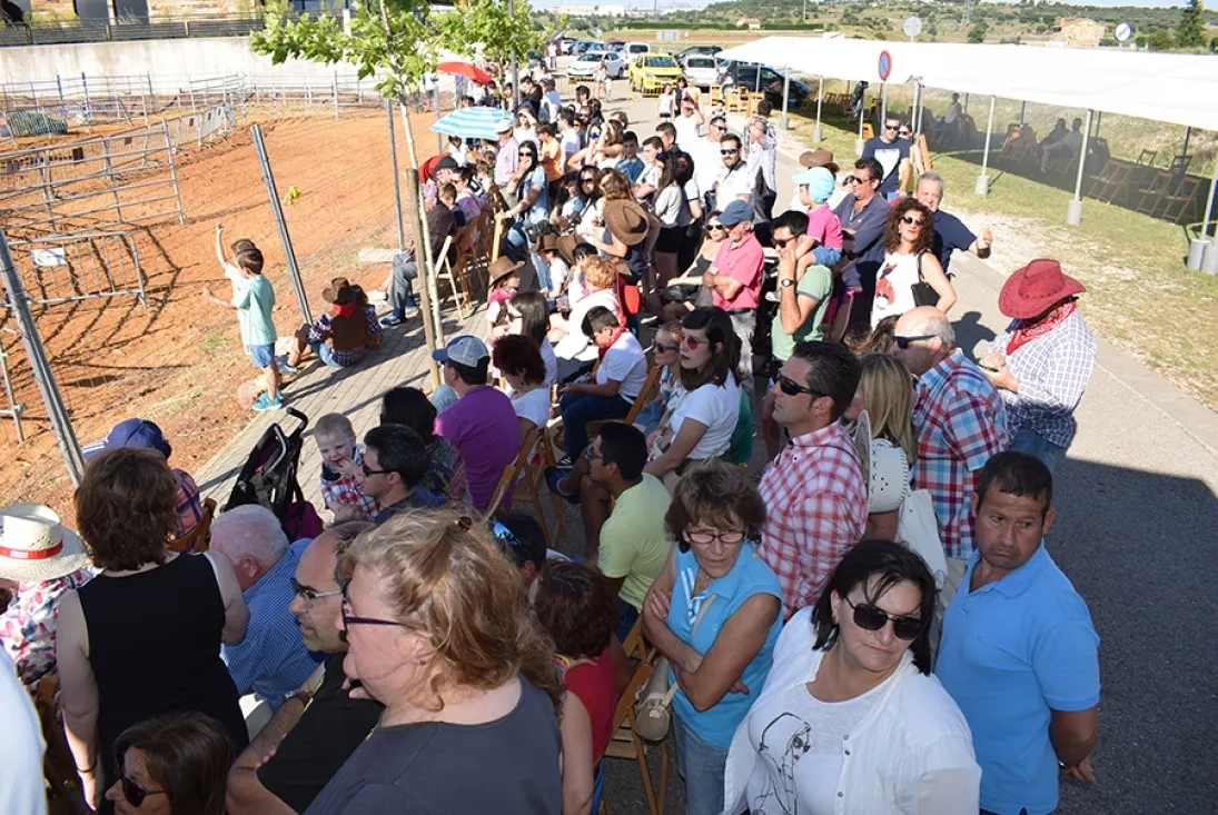 Foto 8 - GALER&Iacute;A de las im&aacute;genes del sorprendente Golmayo West