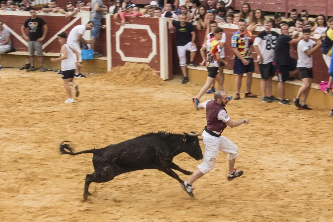 Imagen del concurso fotográfico sanjuanero de Soria Noticias. 