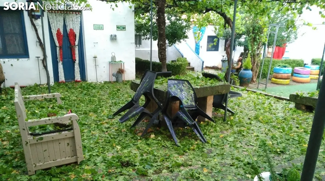 Un jardín tras la granizada. /SN