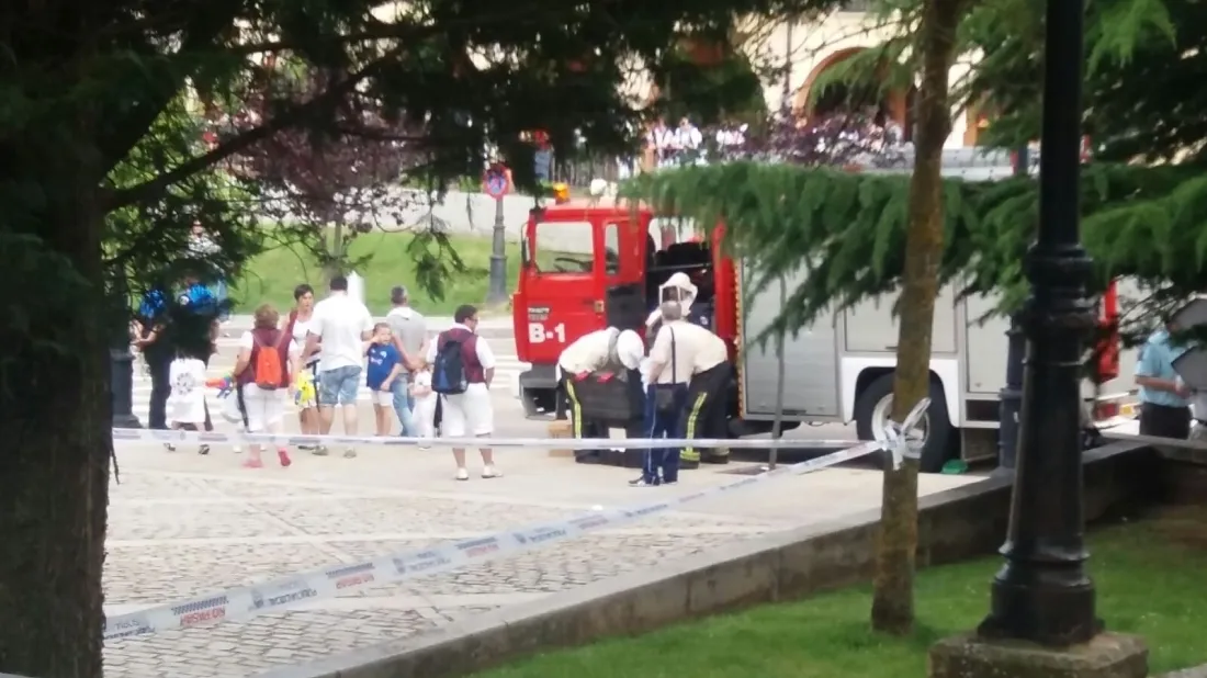 Foto 2 - Los bomberos retiran un enjambre en el entorno de la concatedral de San Pedro