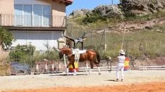 Foto 47 - GALER&Iacute;A de las im&aacute;genes del sorprendente Golmayo West