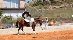 Foto 46 - GALER&Iacute;A de las im&aacute;genes del sorprendente Golmayo West