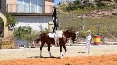 Foto 42 - GALER&Iacute;A de las im&aacute;genes del sorprendente Golmayo West