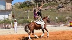 Foto 40 - GALER&Iacute;A de las im&aacute;genes del sorprendente Golmayo West