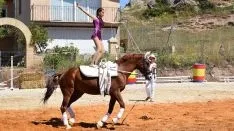 Foto 37 - GALER&Iacute;A de las im&aacute;genes del sorprendente Golmayo West
