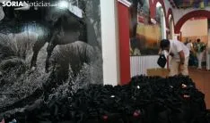 Una imagen del reparto de este Domingo de Calderas. /SN