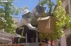 Los bomberos recogiendo el enjambre. /SN