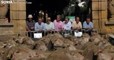 Una imagen del paso del ganado por la ciudad. /SN