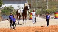 Foto 32 - GALER&Iacute;A de las im&aacute;genes del sorprendente Golmayo West
