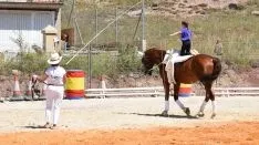 Foto 30 - GALER&Iacute;A de las im&aacute;genes del sorprendente Golmayo West