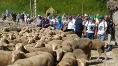 Imagen de la última jornada de 'Somos Trashumantes'. /M-audiovisuales