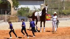 Foto 26 - GALER&Iacute;A de las im&aacute;genes del sorprendente Golmayo West