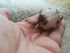 Una imagen del temporal de esta tarde en Ágreda. /SN